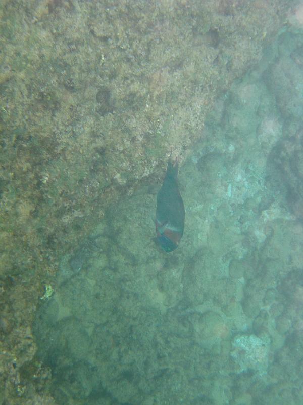 Picture 050